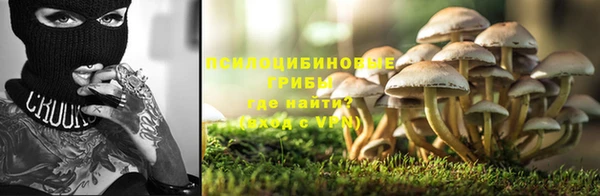 кокс Алексин